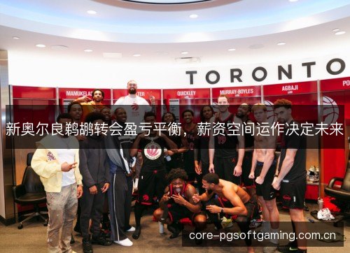 新奥尔良鹈鹕转会盈亏平衡,薪资空间运作决定未来 新奥尔良鹈鹕转会盈亏平衡,薪资空间运作决定未来